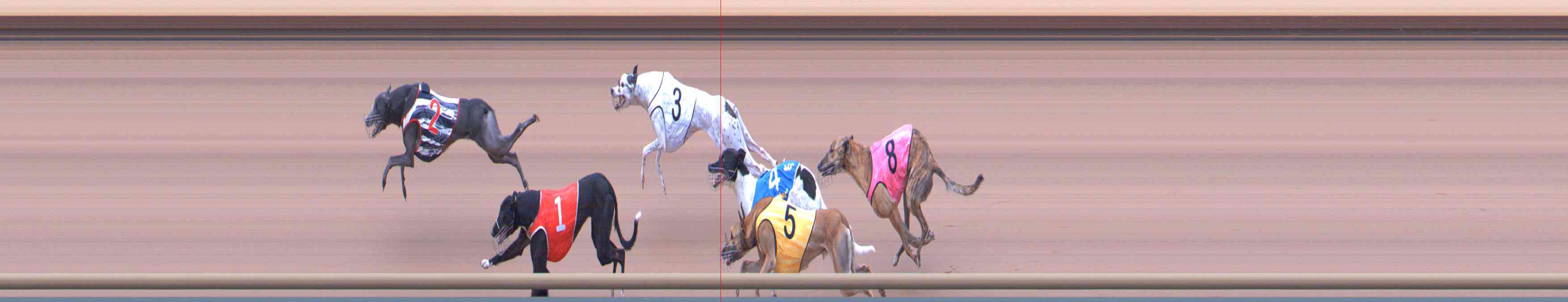 Photo finish for Healesville Race 2