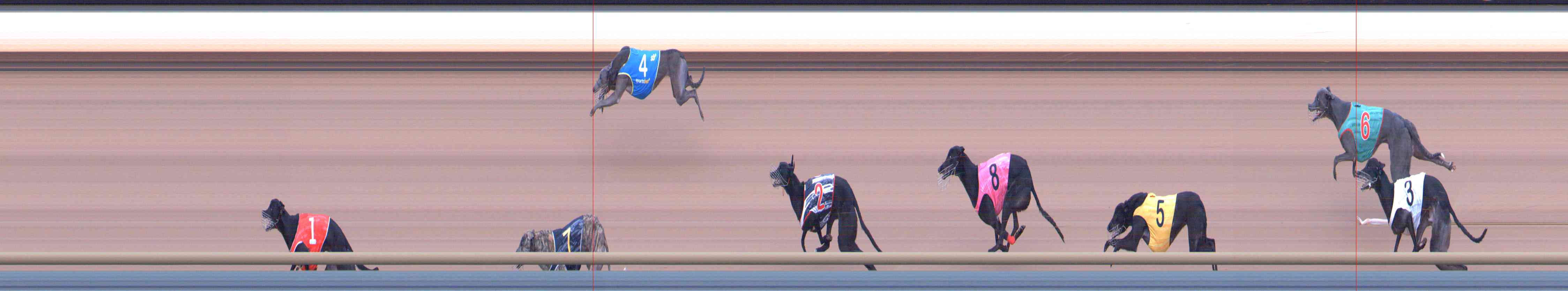 Photo finish for Healesville Race 4