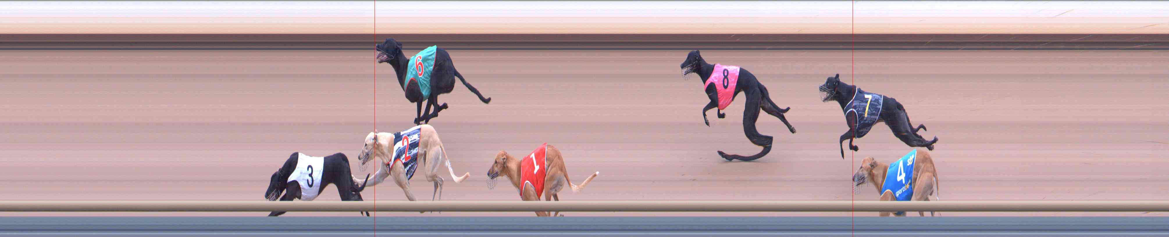 Photo finish for Healesville Race 5