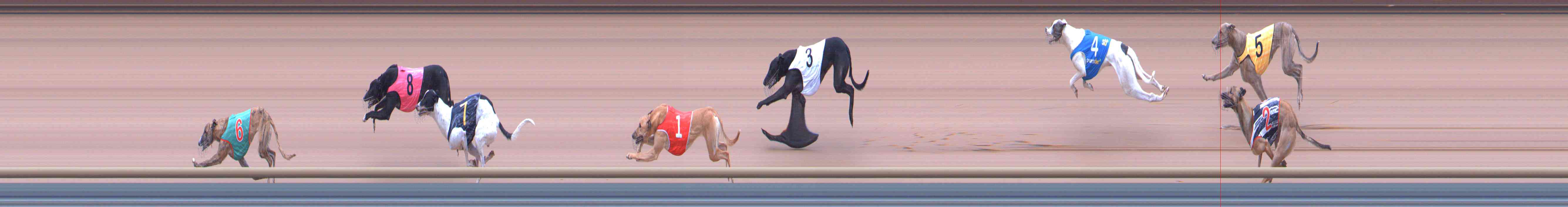 Photo finish for Healesville Race 6