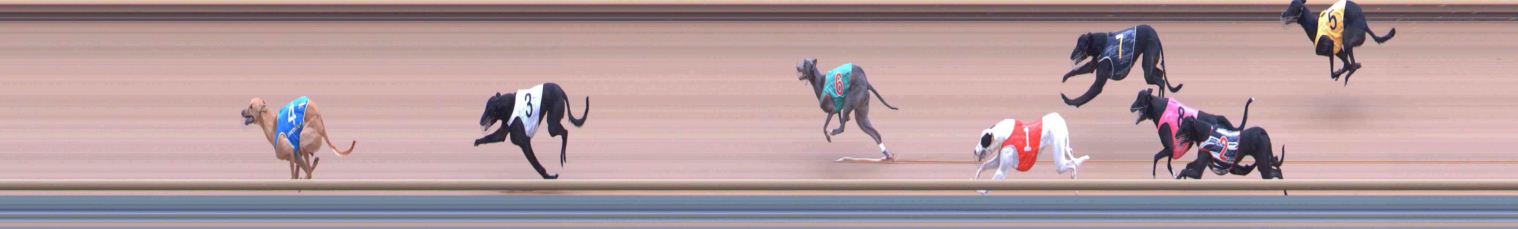 Photo finish for Healesville Race 7