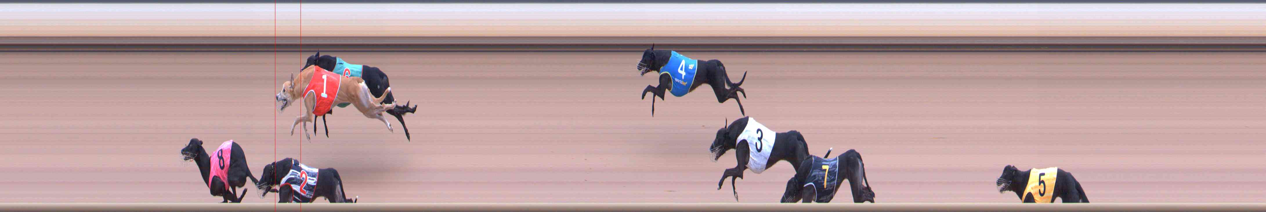 Photo finish for Healesville Race 8