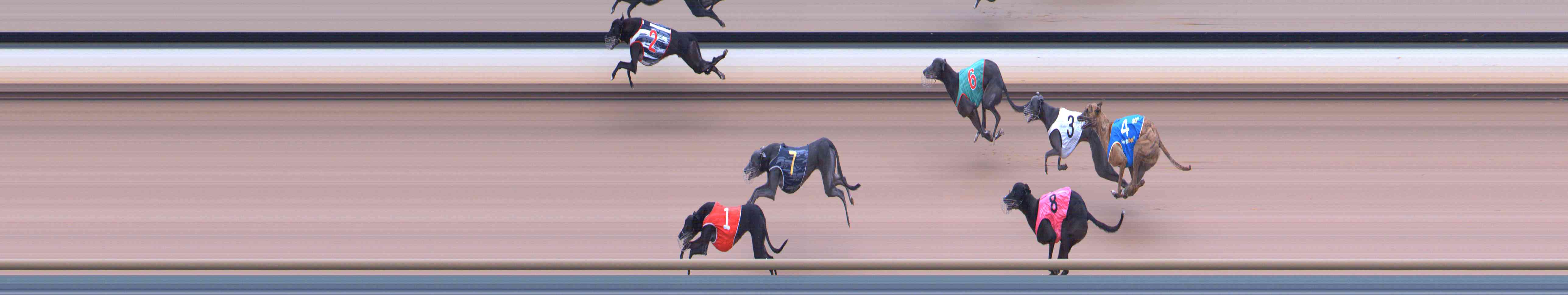 Photo finish for Healesville Race 9