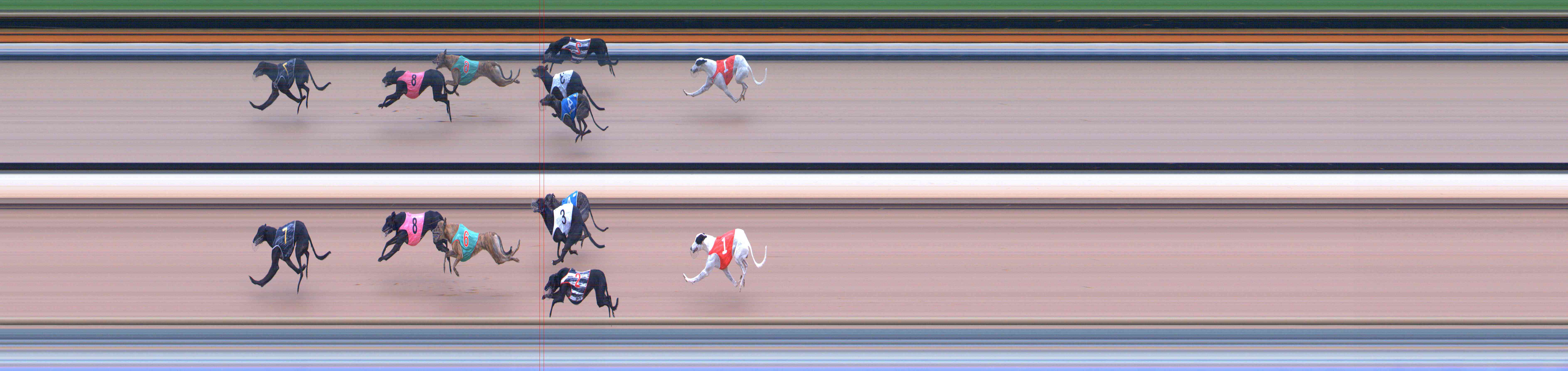 Photo finish for Healesville Race 10