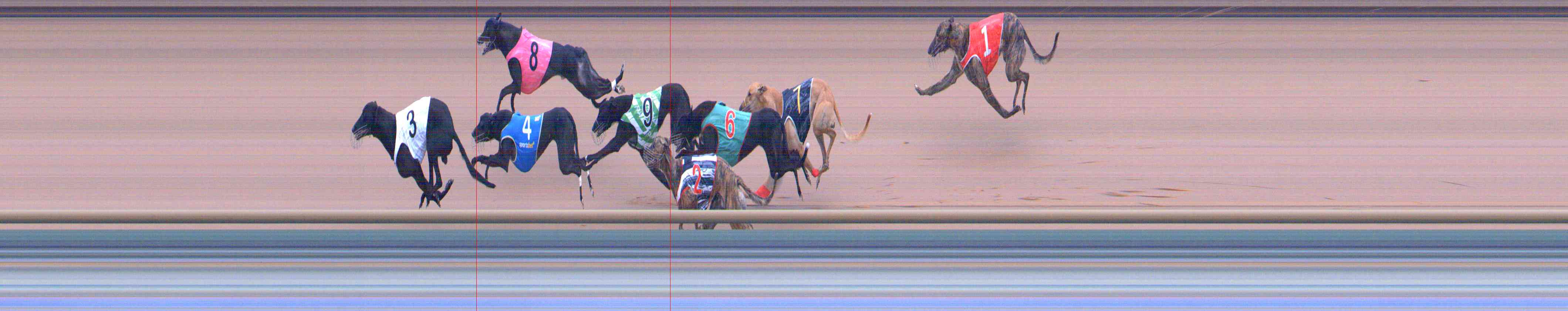 Photo finish for Healesville Race 12