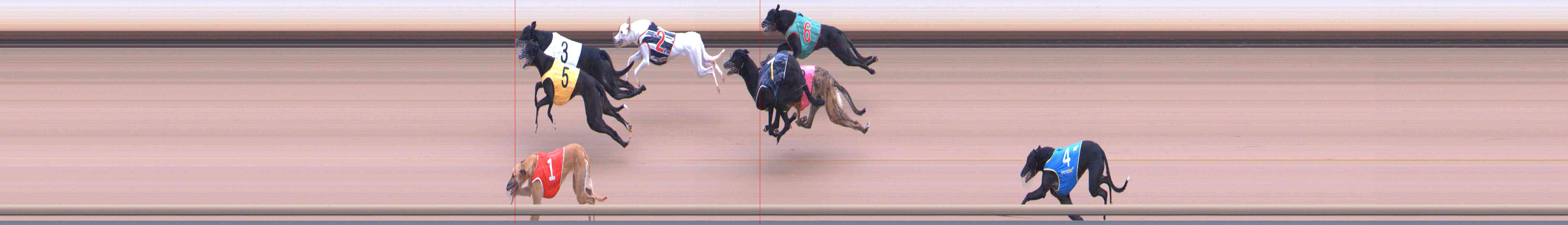 Photo finish for Healesville Race 1