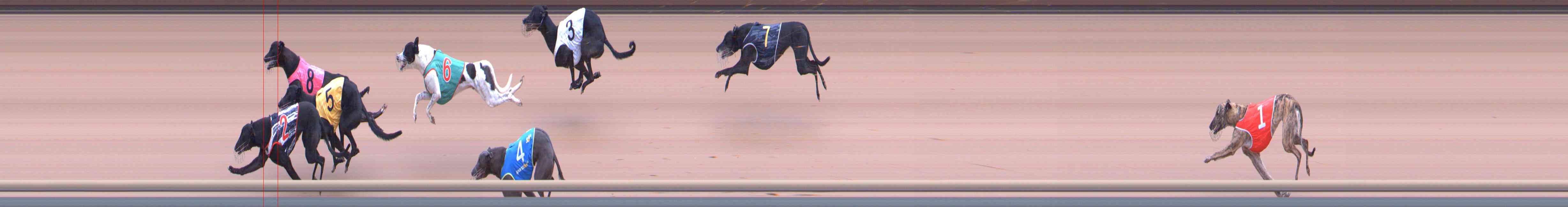 Photo finish for Healesville Race 2