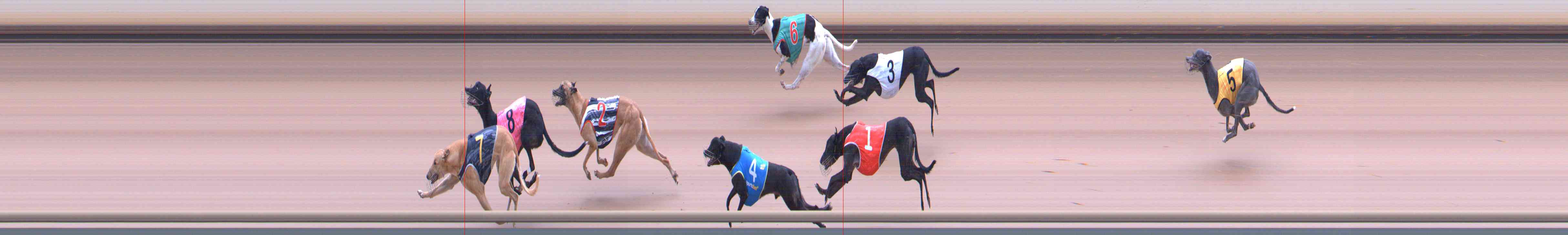 Photo finish for Healesville Race 3