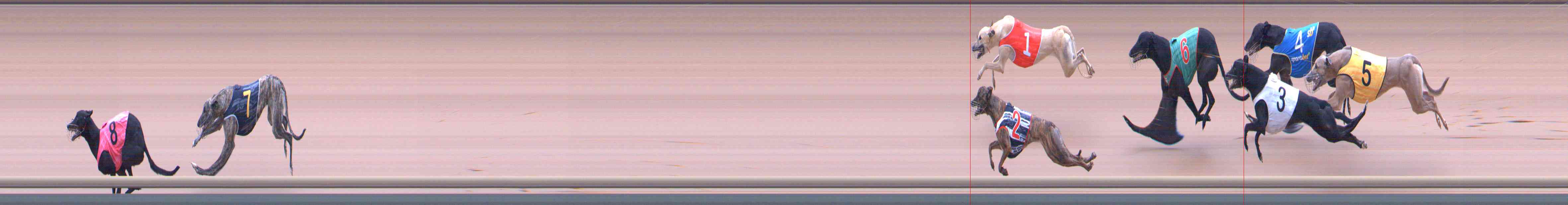 Photo finish for Healesville Race 4