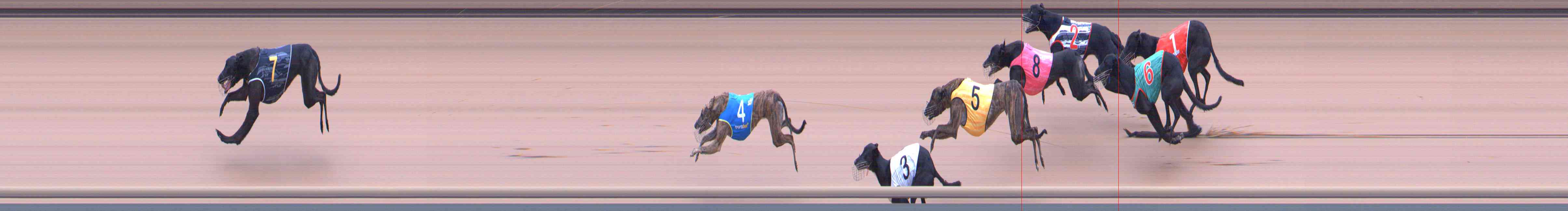 Photo finish for Healesville Race 5