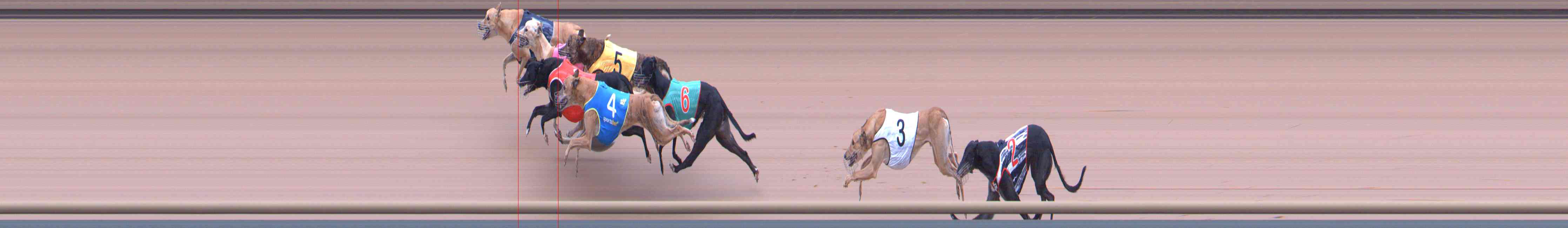 Photo finish for Healesville Race 6