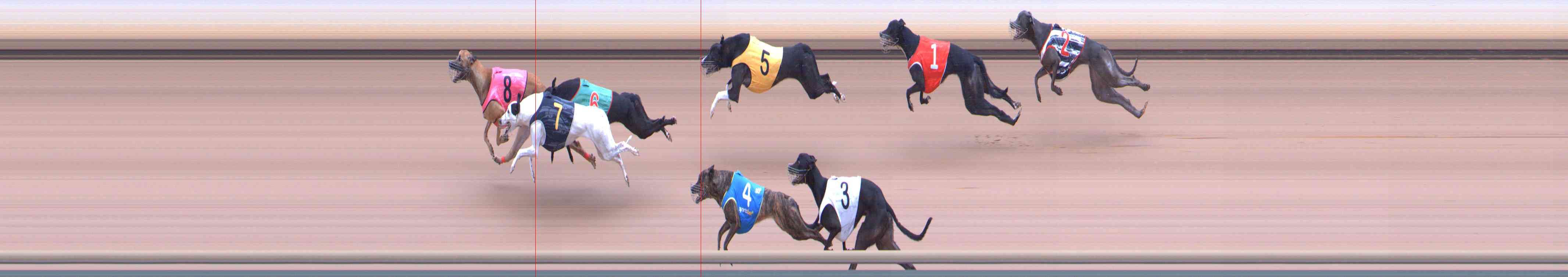 Photo finish for Healesville Race 7