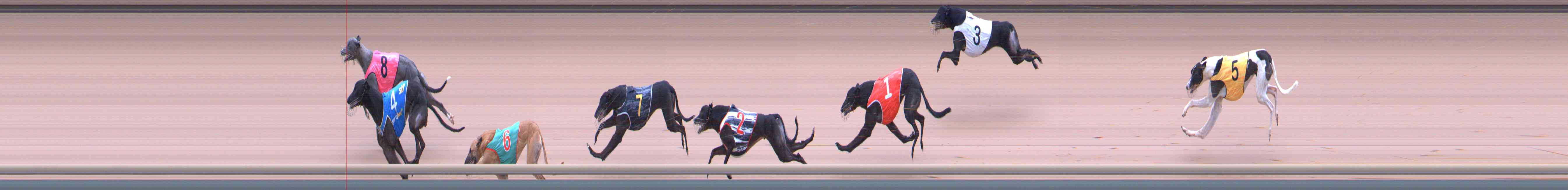 Photo finish for Healesville Race 9