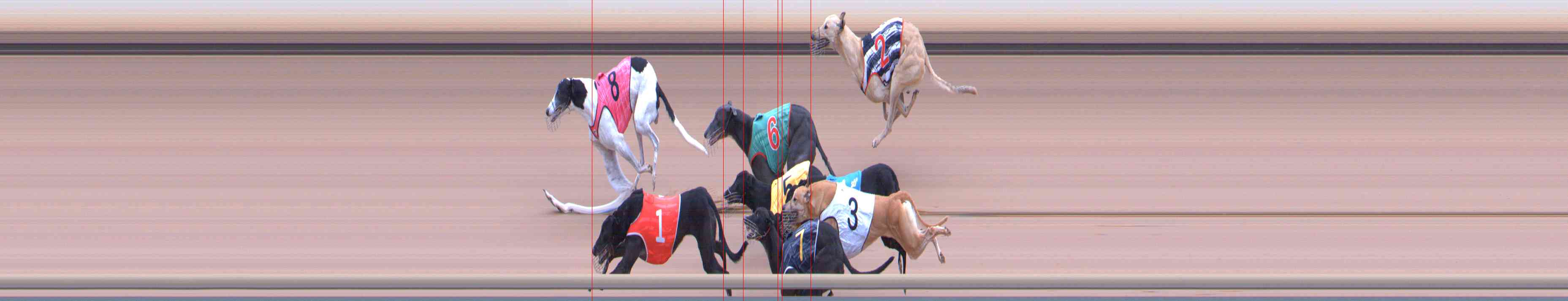 Photo finish for Healesville Race 10