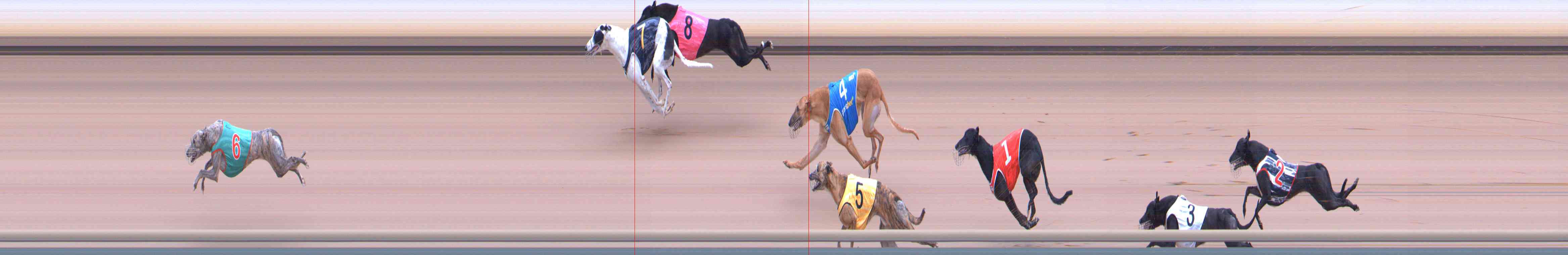 Photo finish for Healesville Race 11