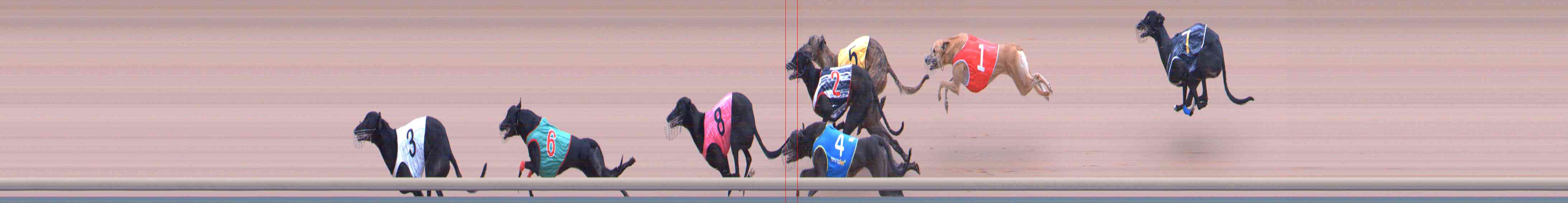 Photo finish for Healesville Race 12