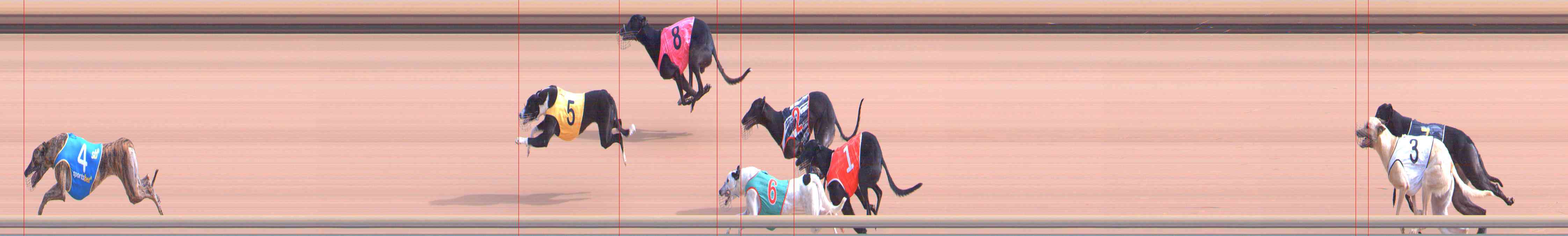 Photo finish for Healesville Race 1