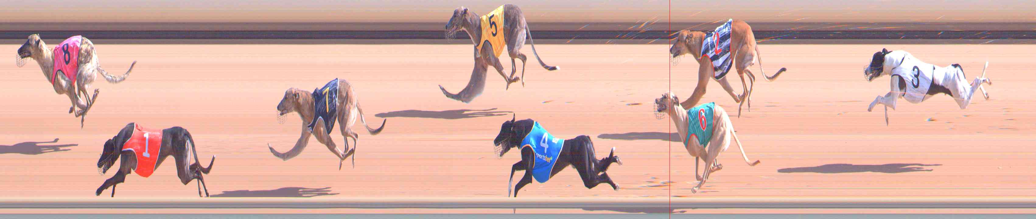 Photo finish for Healesville Race 2