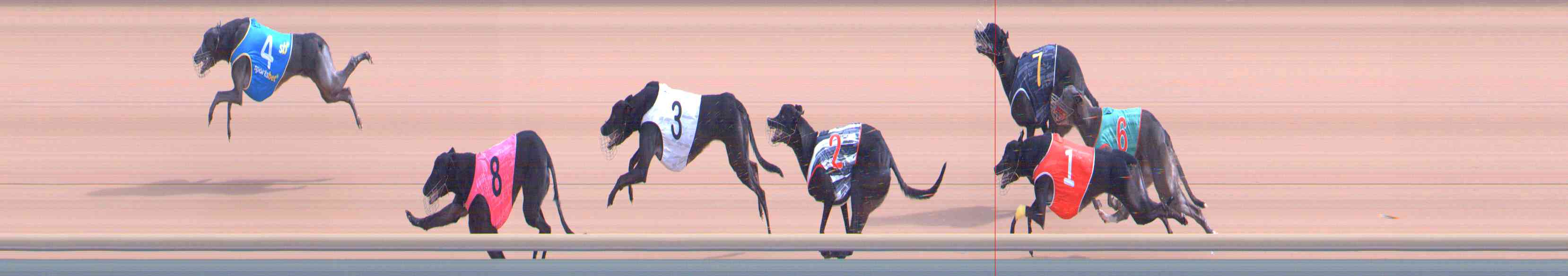 Photo finish for Healesville Race 3