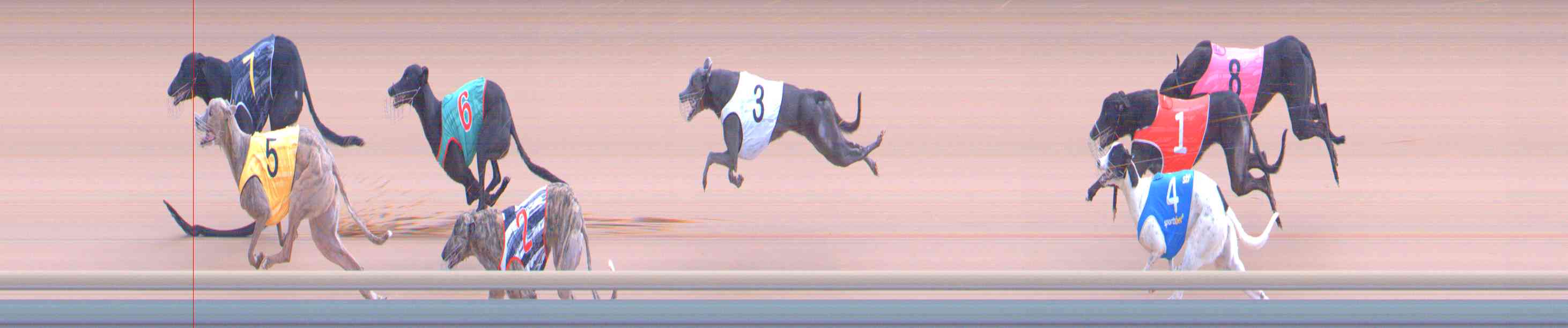 Photo finish for Healesville Race 4