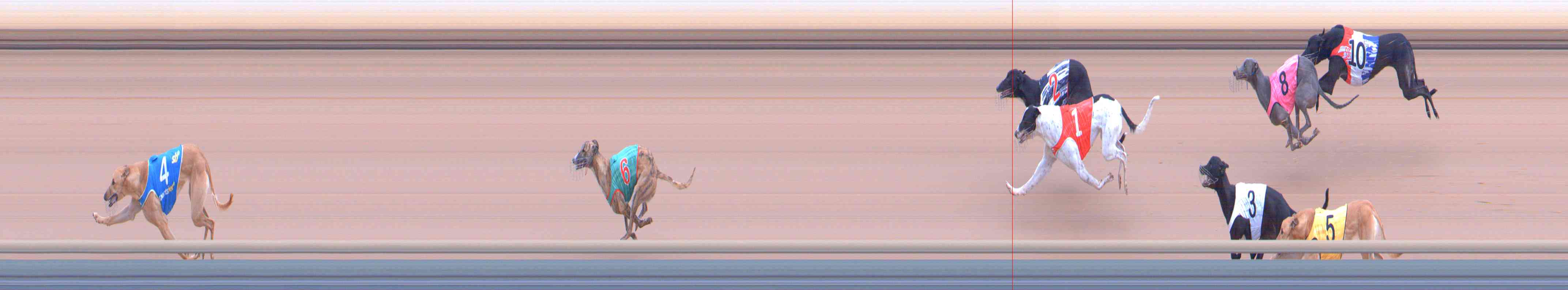 Photo finish for Healesville Race 5