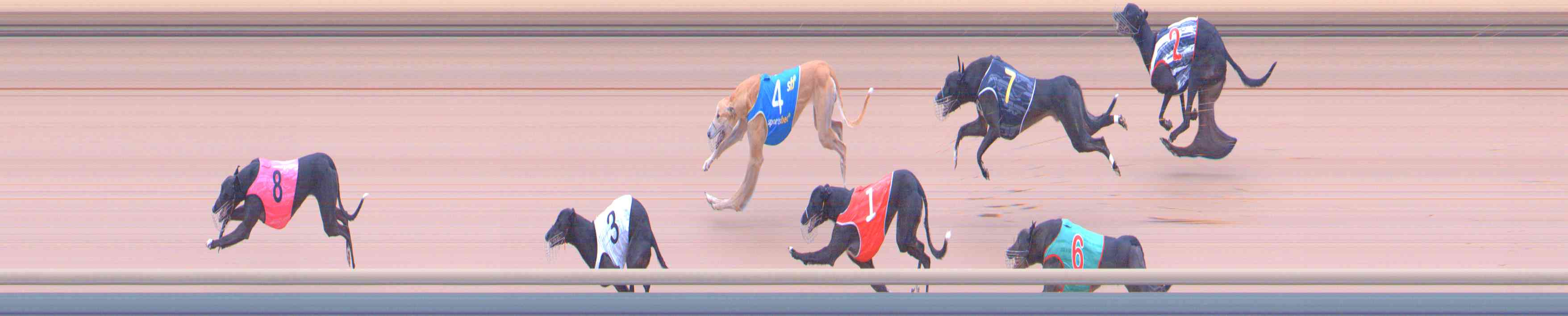 Photo finish for Healesville Race 6