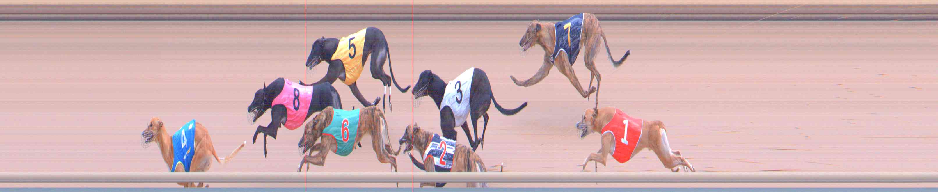 Photo finish for Healesville Race 7
