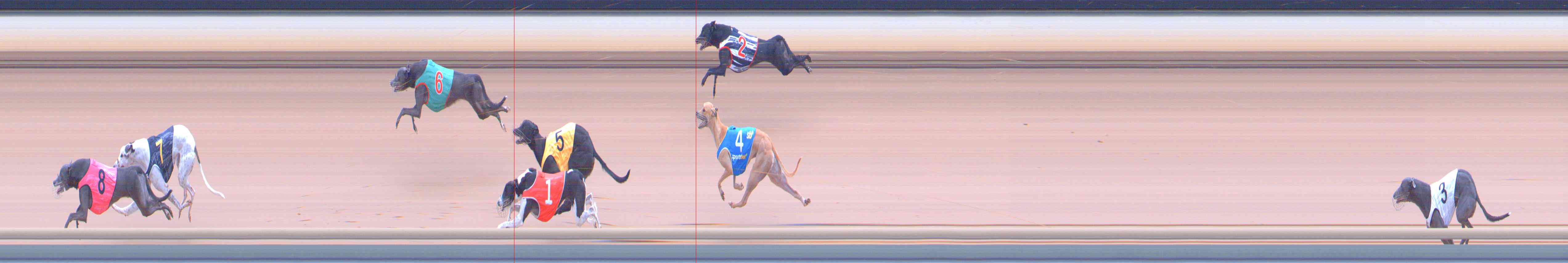 Photo finish for Healesville Race 8