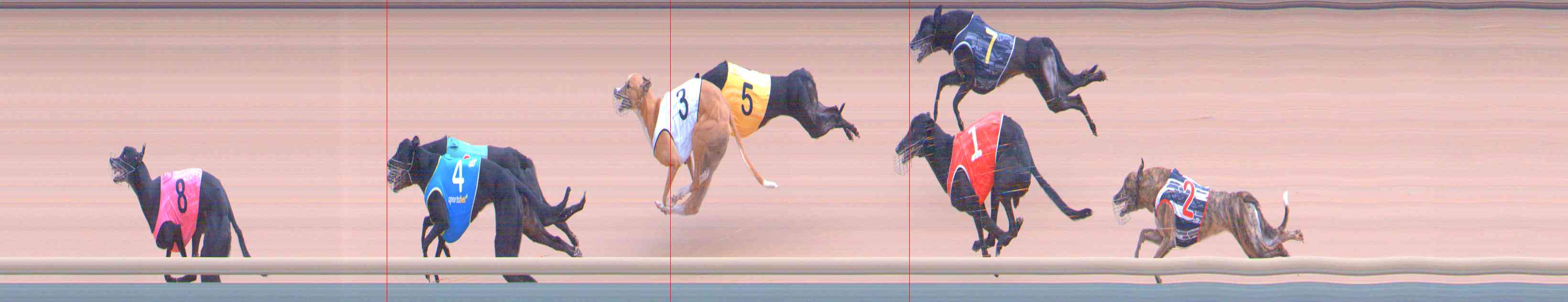 Photo finish for Healesville Race 9