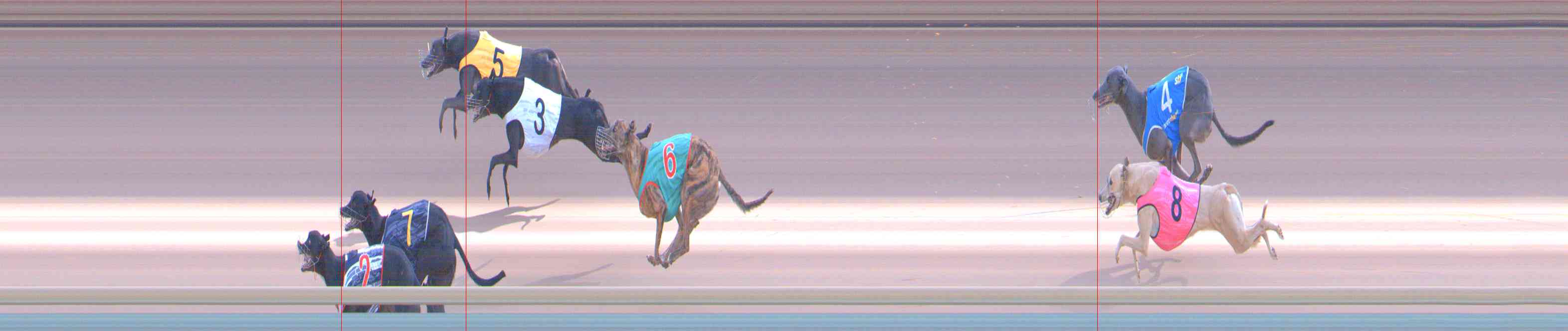 Photo finish for Healesville Race 10