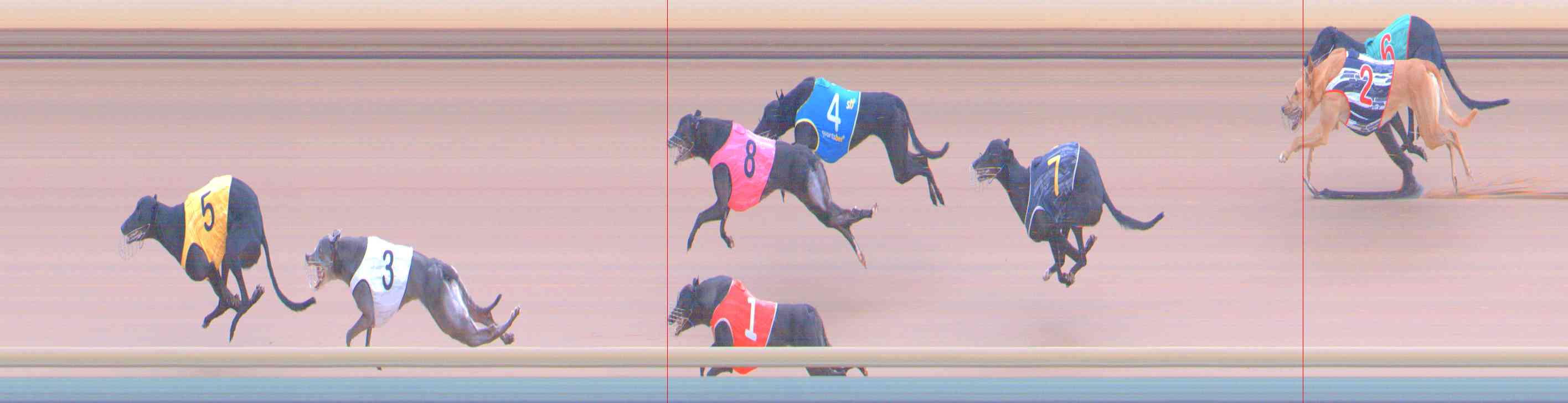 Photo finish for Healesville Race 11