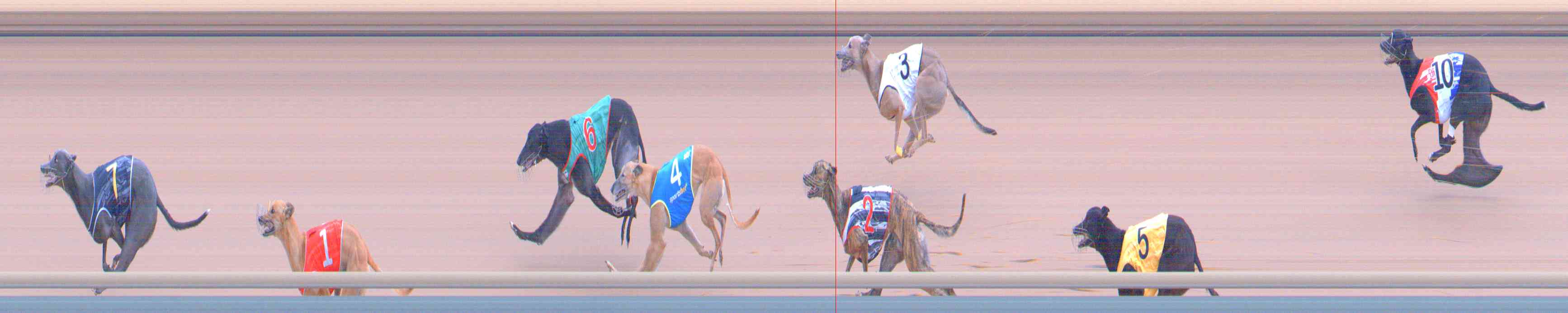 Photo finish for Healesville Race 12