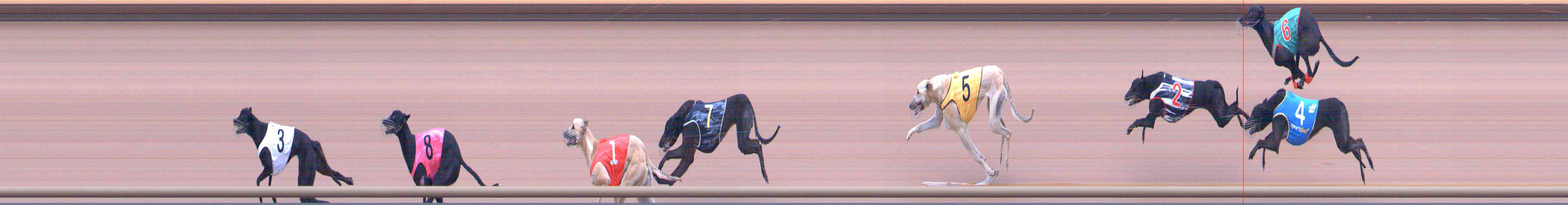 Photo finish for Healesville Race 1