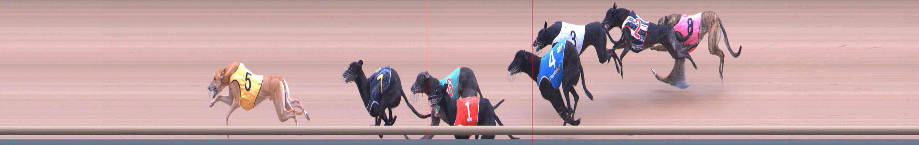 Photo finish for Healesville Race 2