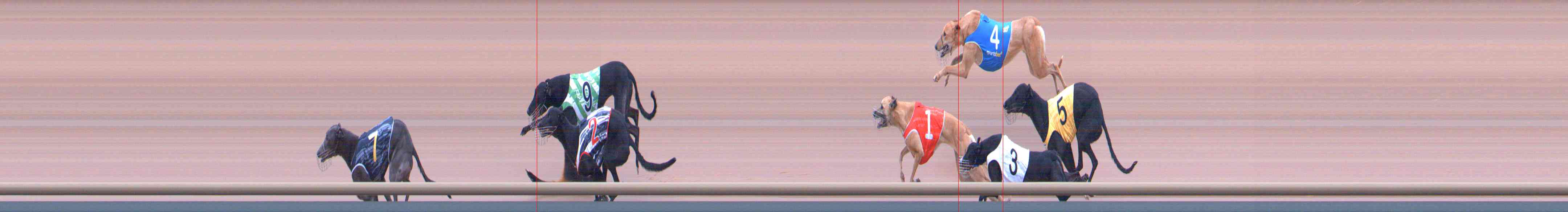 Photo finish for Healesville Race 3