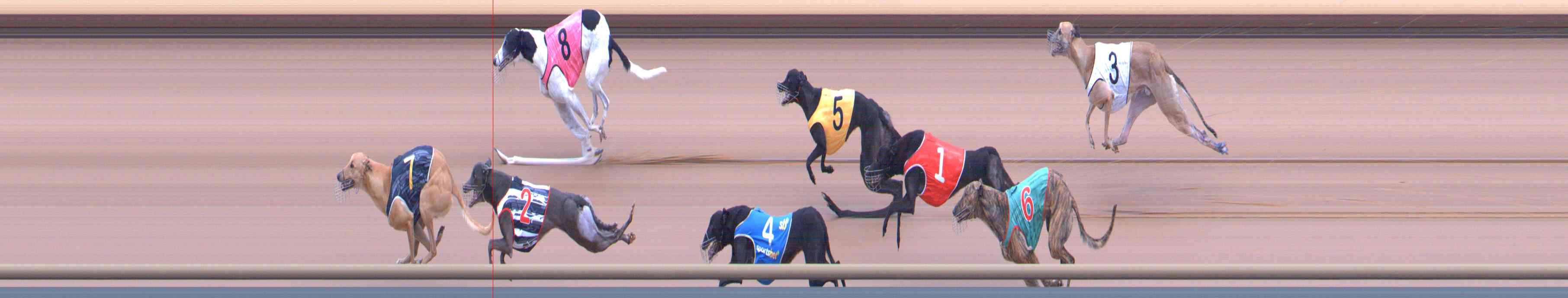 Photo finish for Healesville Race 4