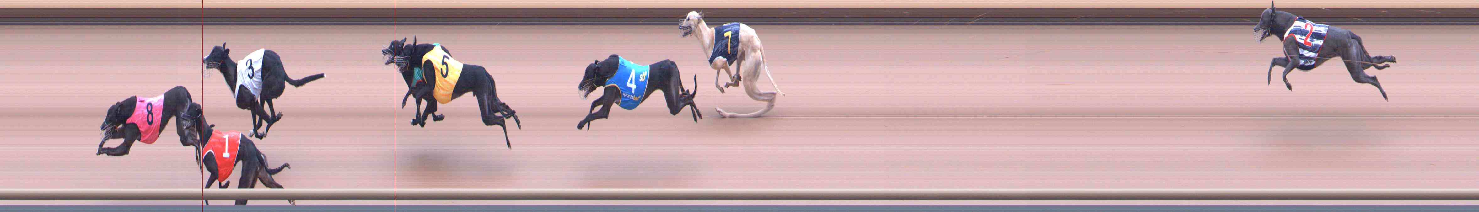 Photo finish for Healesville Race 5