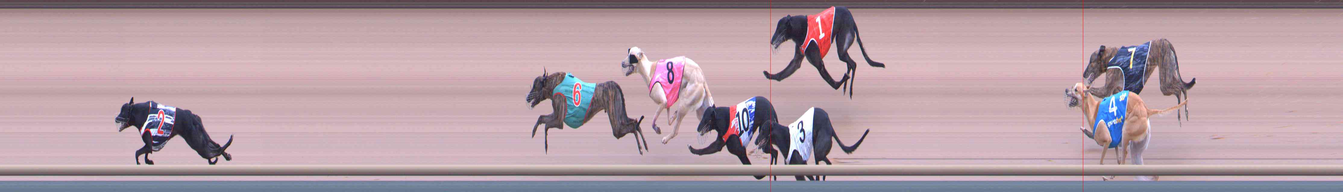 Photo finish for Healesville Race 6