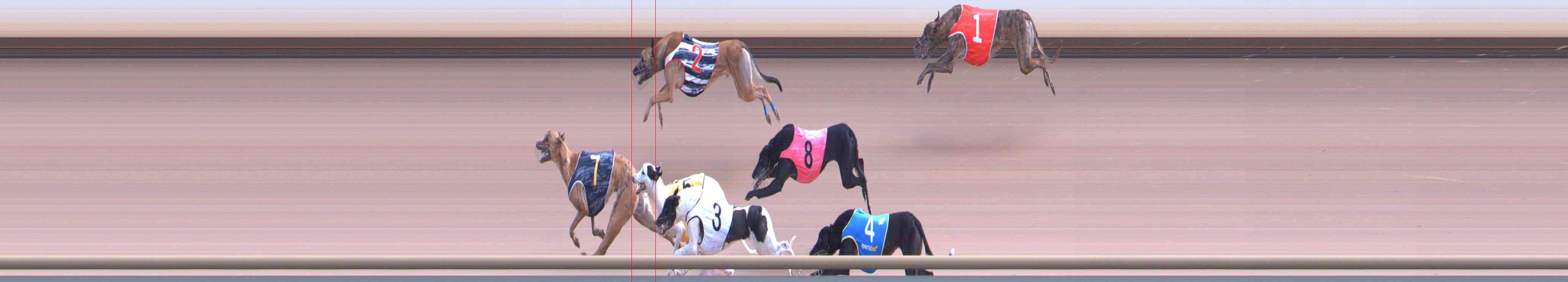 Photo finish for Healesville Race 7