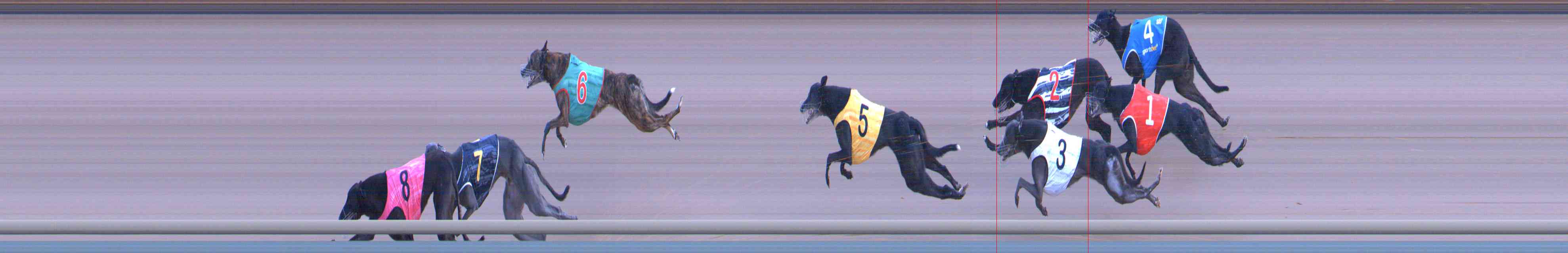 Photo finish for Healesville Race 8