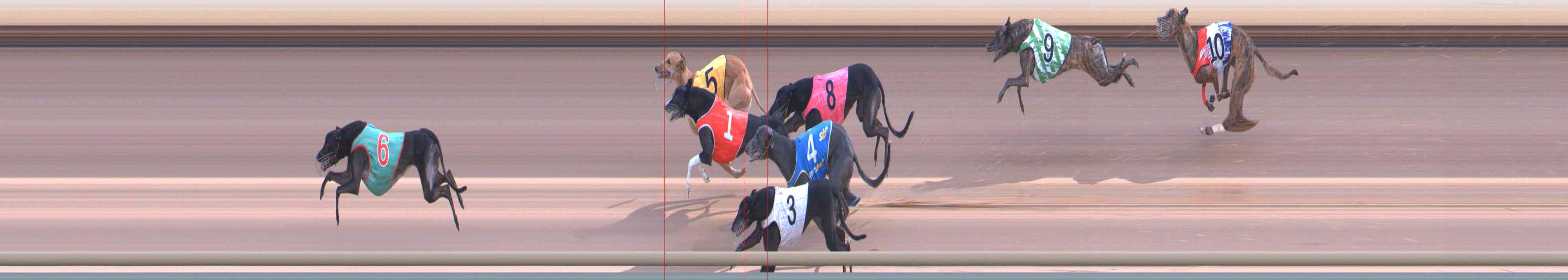 Photo finish for Healesville Race 9