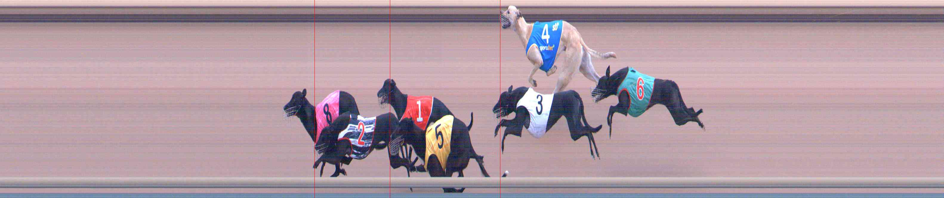 Photo finish for Healesville Race 10