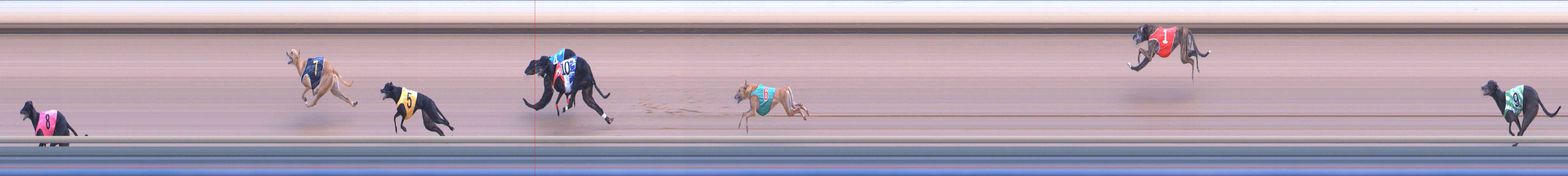 Photo finish for Healesville Race 11