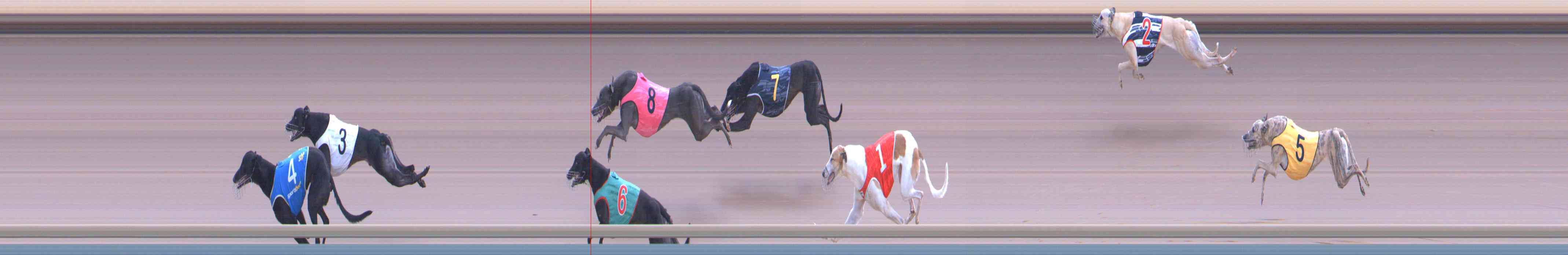 Photo finish for Healesville Race 12