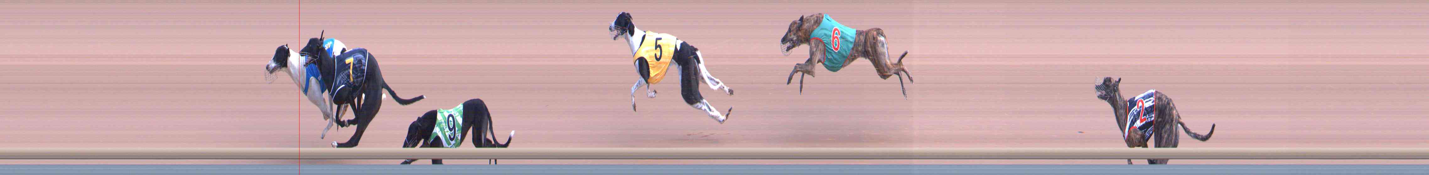 Photo finish for Healesville Race 1