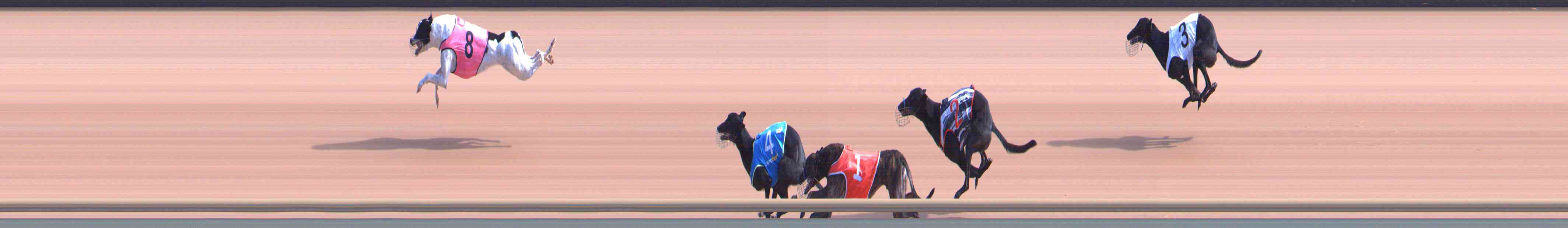 Photo finish for Healesville Race 2