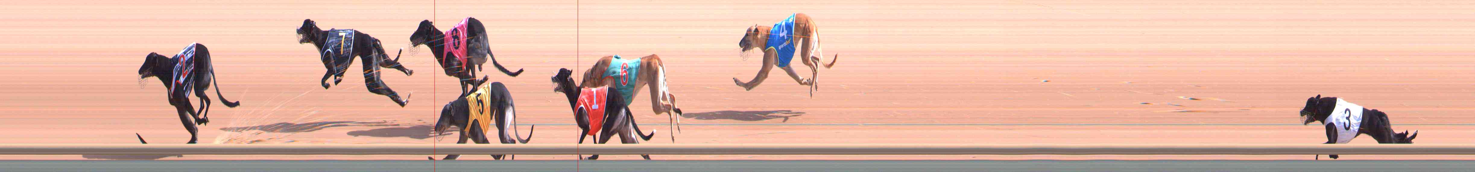 Photo finish for Healesville Race 3
