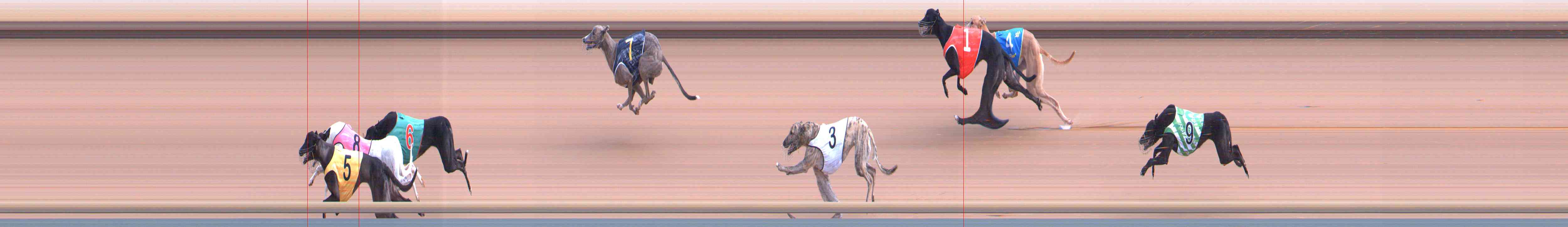 Photo finish for Healesville Race 4