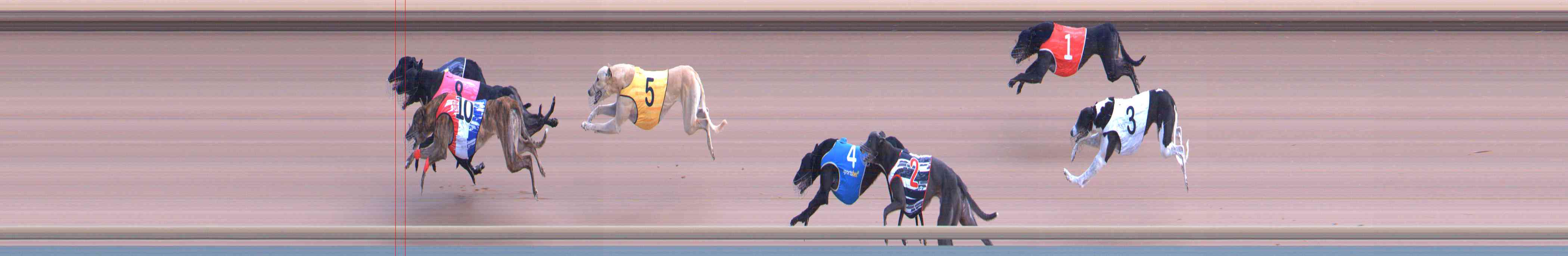 Photo finish for Healesville Race 5