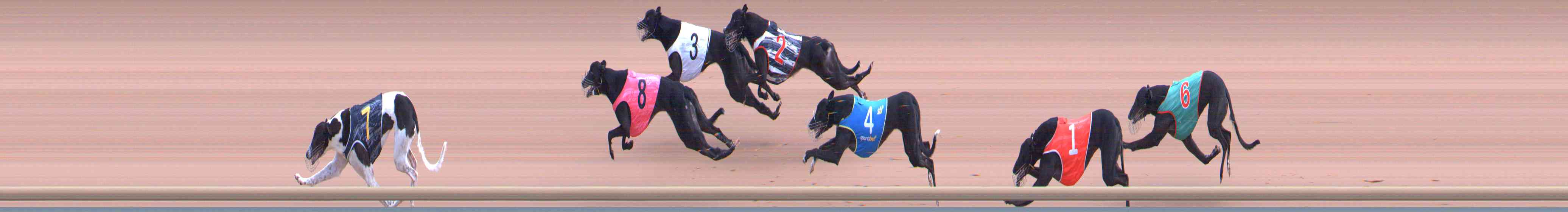 Photo finish for Healesville Race 6